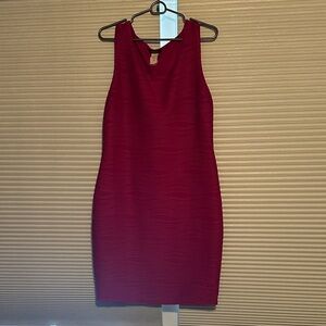 Cocomo Rich Red Mini Dress
